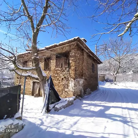 Torrhebıa Dağ Evı *