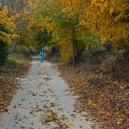 Pansiyon Torrhebıa Dağ Evı