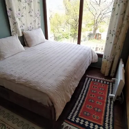 Pansiyon Torrhebıa Dağ Evı *