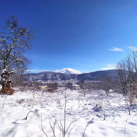 Torrhebıa Dağ Evı