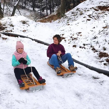 Pansiyon Torrhebıa Dağ Evı Ödemiş