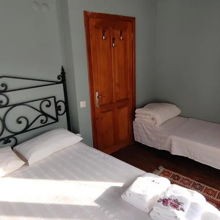 Torrhebıa Dağ Evı Ödemiş