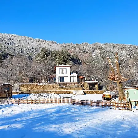 Pansiyon Torrhebıa Dağ Evı *