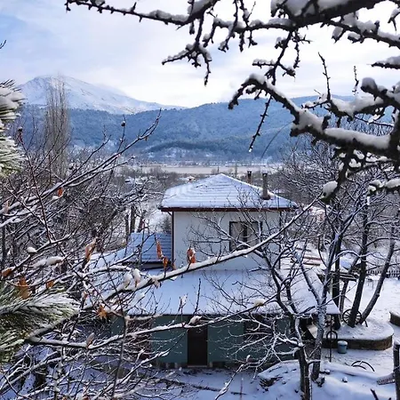 Pansiyon Torrhebıa Dağ Evı *